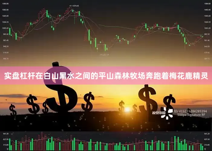 实盘杠杆在白山黑水之间的平山森林牧场奔跑着梅花鹿精灵