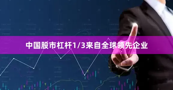 中国股市杠杆1/3来自全球领先企业