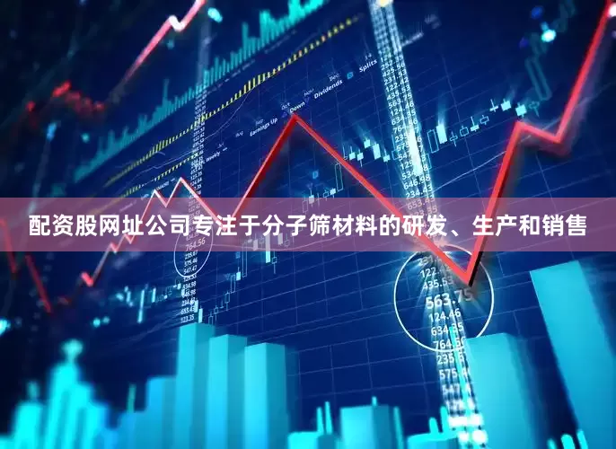 配资股网址公司专注于分子筛材料的研发、生产和销售